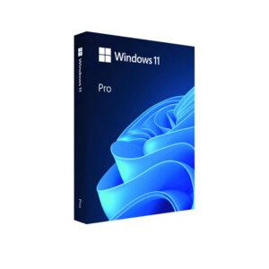 Phần mềm WINDOWS 11 PRO FPP 64-BIT ENG INTL USB (HAV-00163)
