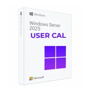 Phần mềm Microsoft Windows Server 2025 - 1 User Cal